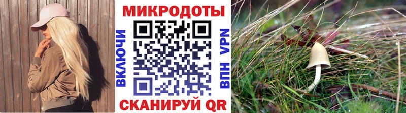 Галлюциногенные грибы Psilocybe  mega tor  Благодарный  как найти  