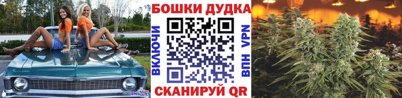 хочу Благодарный Бошки Шишки планчик